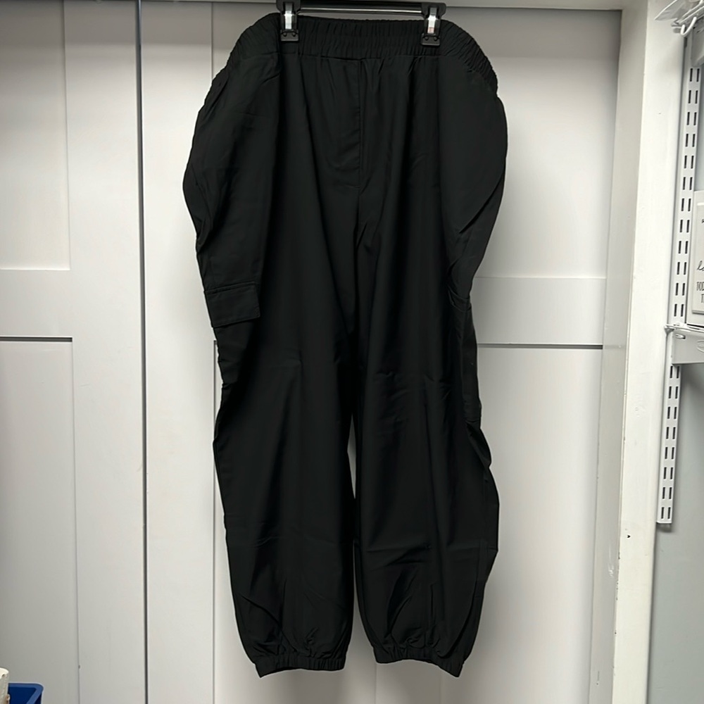 Lane Bryant Joggers